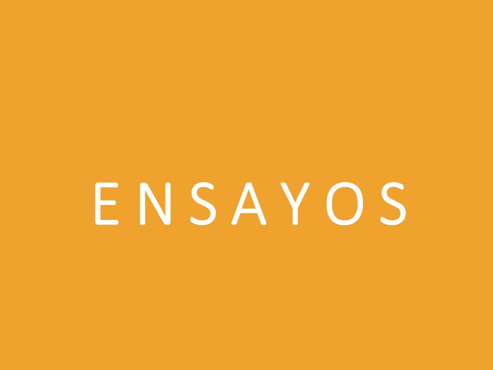 Discusiones conceptuales sobre Educaci�n Especial